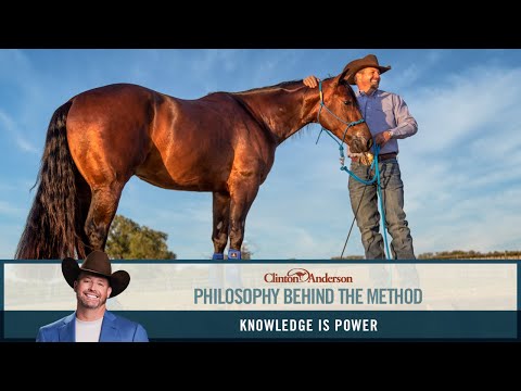 The Philosophy Behind the Downunder Horsemanship Method: Knowledge is Power