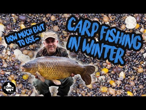 Carp Fishing In Winter - HOW MUCH BAIT TO USE IN WINTER 🤔