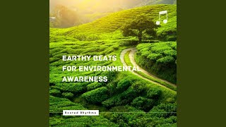 Rhythms of the Rainforest