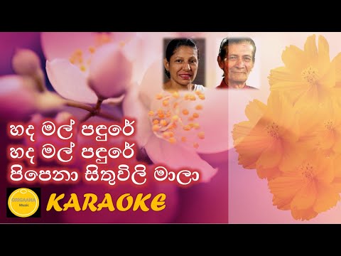 Hada mal padure Karaoke - Without Voice - With Lyrics - හද මල් පඳුරේ....