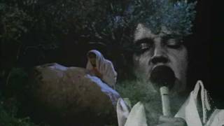Elvis - An Evening Prayer