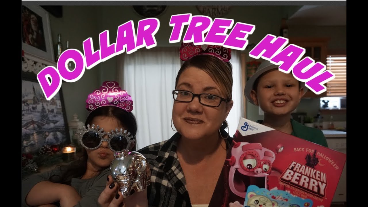 DOLLAR TREE HAUL 12/29/17 | CEREAL, SQUISHIES & MORE!