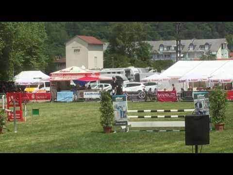 Tira von Worrenberg, Tornesch x Calando I, geb Mai 2012, Spr PfA** und L mehrfach gewonnen