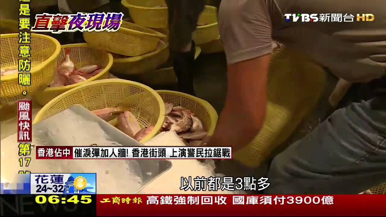 夜間魚市場　只賣「尚青現撈ㄟ」