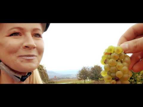 Požega Bike and Wine Požega cikloturistička destinacija