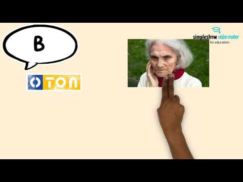 Die strukturierte Informationssammlung SIS