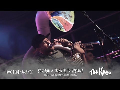 Thumbnail for Badfish: A Tribute To Sublime - Date Rape x Live Performance (The Fillmore Charlotte) by R.E.M., L.A.B., The Band, Tropidelic, The Who