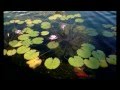 王菲 FAYE WONG 梦想 Dreams / The Cranberries -_ ...