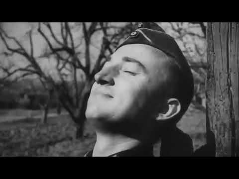 Всероссийский конкурс «Без срока давности»: План «Готенланд»: несбывшаяся мечта Гитлера