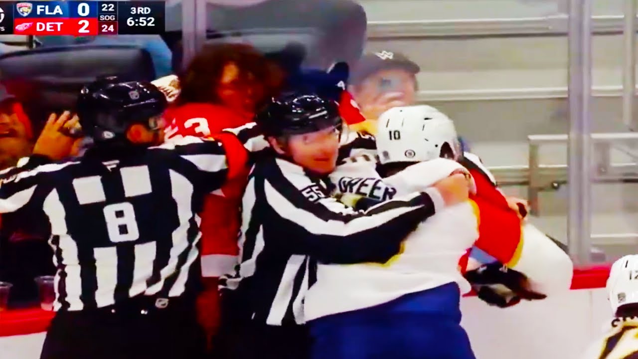 AJ Greer Moritz Seider Fight | Detroit Red Wings vs Florida Panthers 2025 NHL Highlights