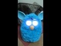 My Beach Furby