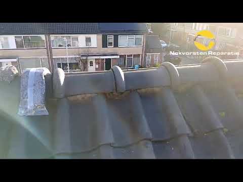 Nokvorsten Reparatie Holthees? Bereken hier direct uw kosten. Een PDF offerte IN 1 minuut!