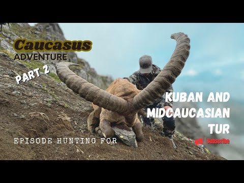 Caucasus Adventure Part 2 Episode Hunting for Kuban and Midcaucasian Tur