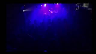 Your Pet Cat, The Lizards 02.25.2017 Toronto, ON AUD