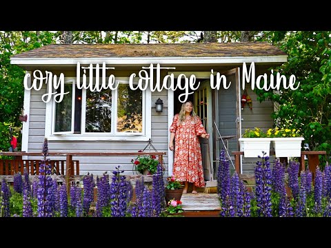 Decorating a tiny cottage in the Maine woods // thrifted boho style
