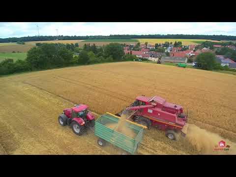Getreideernte 2020