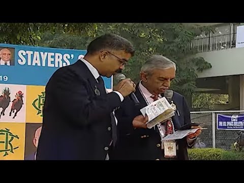 Stayers Cup 2019 Pre Race Analysis