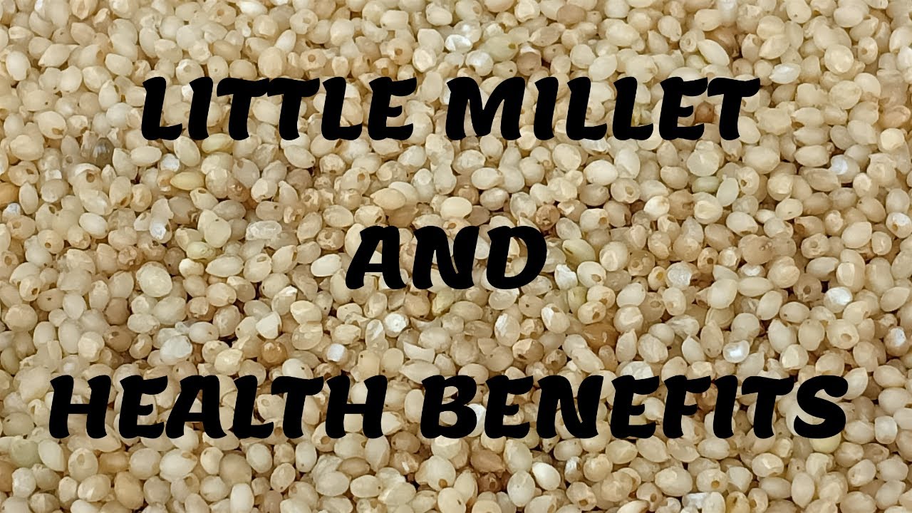 What Is Little Millet In Hindi