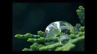 love is stronger far than we (astrud gilberto)