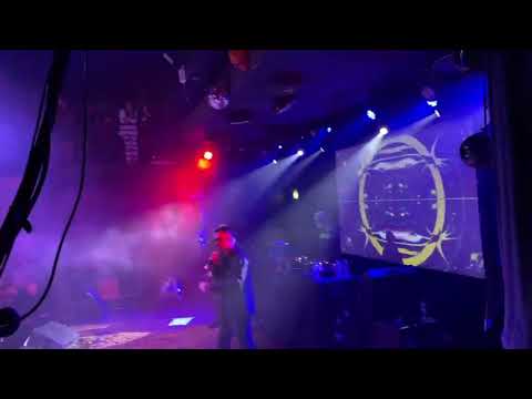 Leito & Canis - Daeman