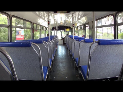 Punchbowl Bus Co. m/o 9029: Hino RG197K (Allison/Custom Coaches)