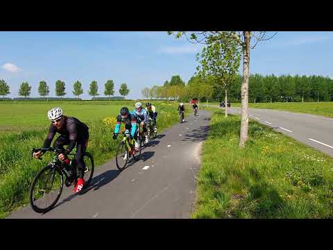 Cyclists Zeeland The Netherlands