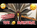 Cerah Tutorial Cara Membuat Topi Dayak Keren Kreasi Kerajinan Kalimantan Borneo Art Diy Craft, Video Kekinian!