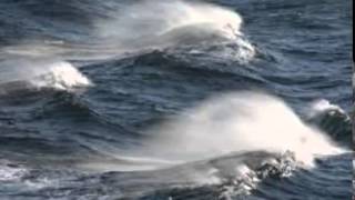 Hoch im Norden Cover Song Santiano