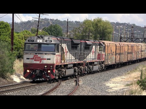 AUSTRALIAN TRAINS on The Standard Gauge Mainline West - Pacific National I SCT I One Rail Australia