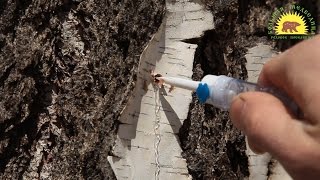 Что можно сделать из шнура в капельнице