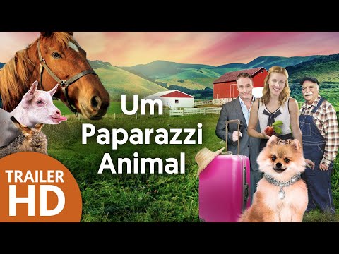 Vídeo