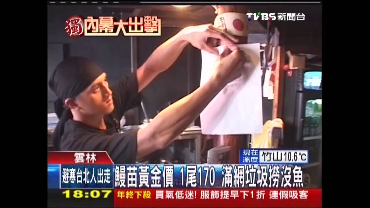 〈獨家〉鰻苗黃金價!1尾170元 滿網垃圾撈沒魚