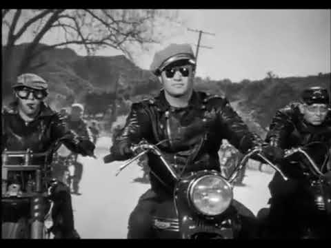 MARTHA & THE VANDELLAS " WILD ONE" (1964)