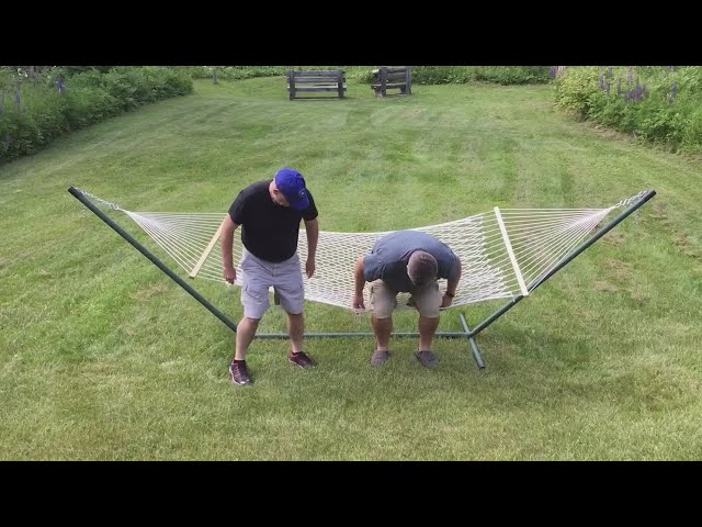 Vídeo relacionado con Not Weird Edición Limitada Dragon Glasses Cute Funny Dinosaur Camiseta