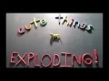 A Sleepwalking Dog EXPLODING Mp4