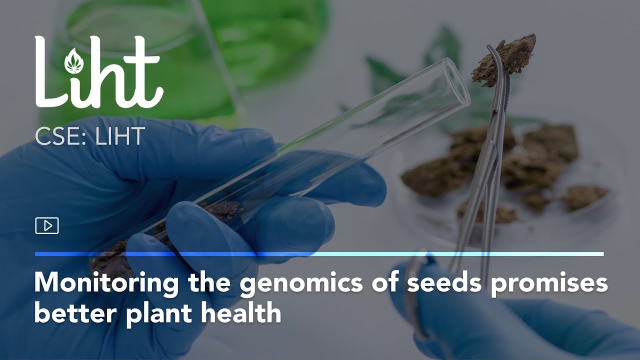 Monitoring the genomics of seeds promises better plant health