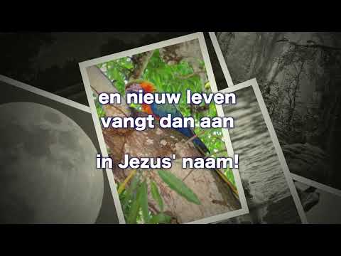 OPwekking 308 o Laat Gods Zoon