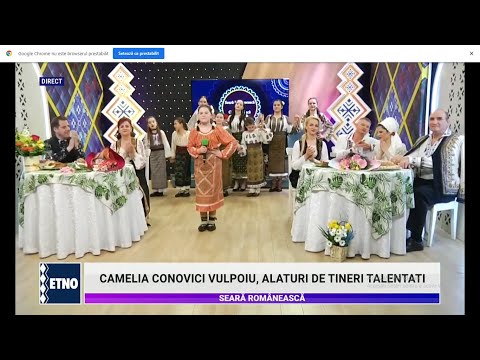 Miriam MIHAI - Când mă latră câinii-n drum