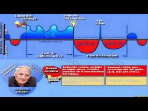 Música de Curacion y Sanacion del Dr Hamer Melodia con energia Positiva 2025