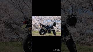 4mini HONDA Aep50 Type D 改