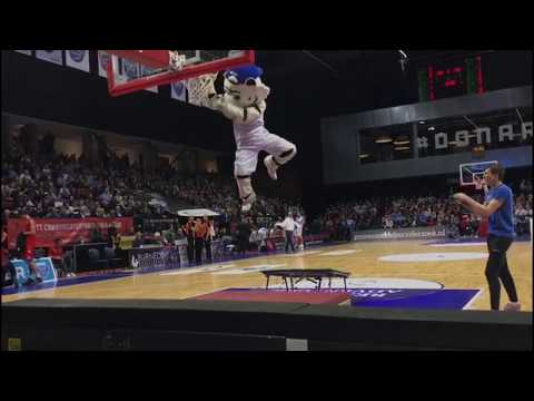 Thunder The Tiger - Mascot of Donar Groningen