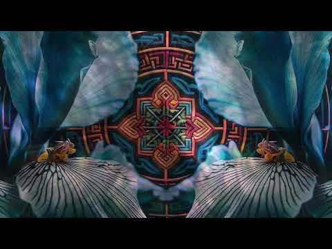 Iyakuh & Lo.Renzo - Direct Path