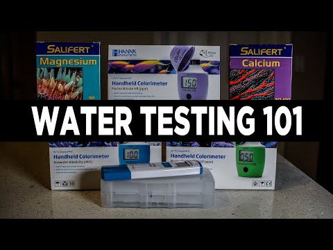 How to Test Your Saltwater Reef Tank
