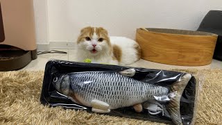 魚を仕入れてきました！！