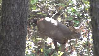 Oct. 26, 2021 Long Version