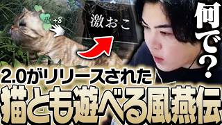 案件配信でゲームそっちのけで猫にハマるSPYGEA【風燕伝】