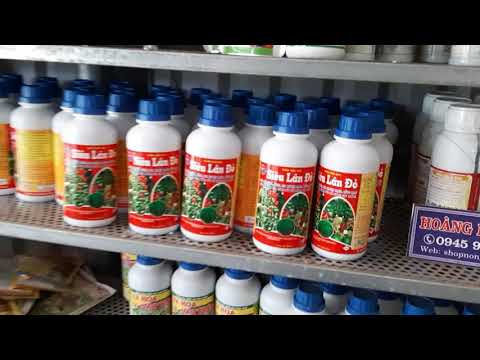 Siêu Lân Đỏ DAP Kích Ra Rễ Hoa Dùng Cho Tất Cả Mọi Giai Đoạn