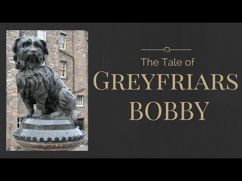 download lagu mp3 mp4 Greyfriars Bobby Edinburgh, download lagu Greyfriars Bobby Edinburgh gratis, unduh video klip Greyfriars Bobby Edinburgh