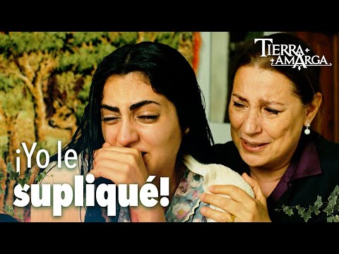 Gülten told what happened with Ercüment - Chapter 104