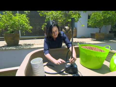 How to Build and Create an Aquaponics System How to Build and Create an Aquaponics System